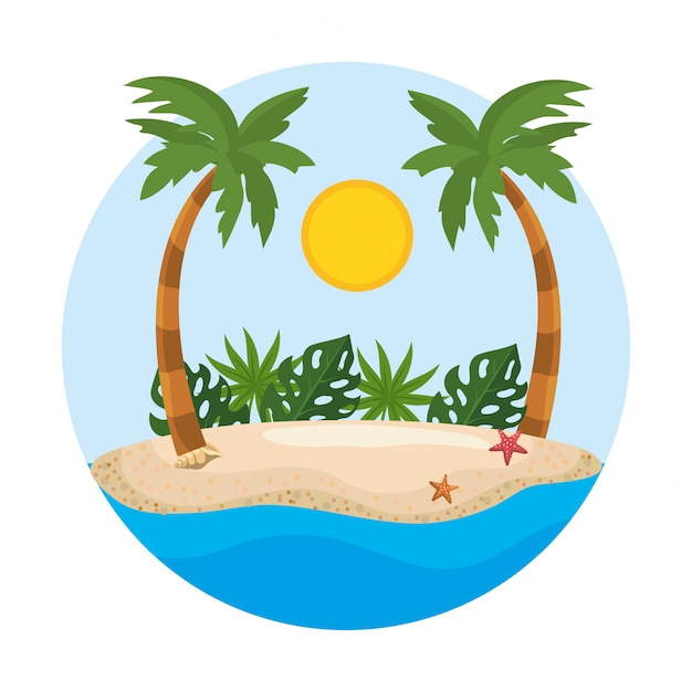 Palma de la temporada de verano