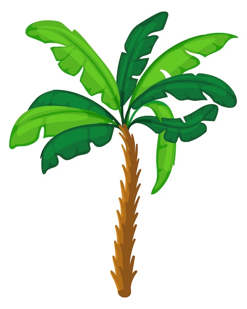 Palma verde Árbol de la selva de dibujos animados Planta tropical aislada sobre fondo blanco