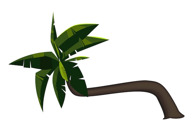 Vector palma verde realista aislada sobre fondo blanco - ilustración vectorial