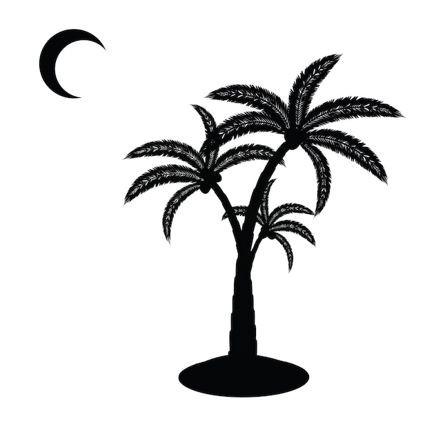 palma4