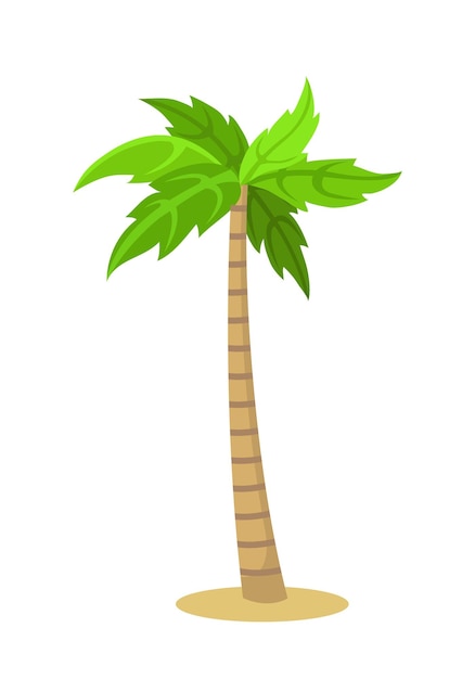 Palmera aislada en blanco. El icono de dibujos animados. ilustración vectorial
