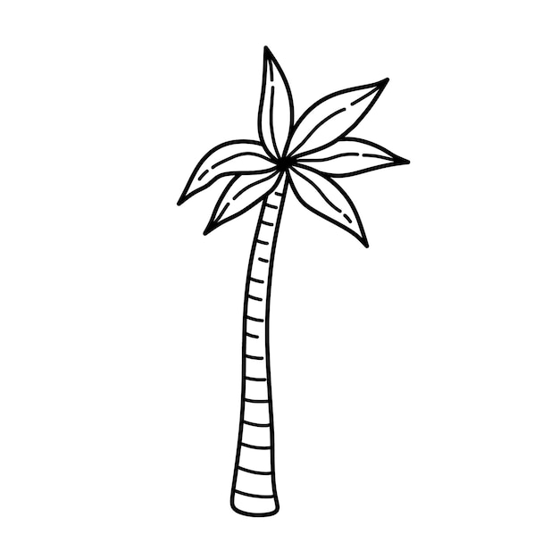 Palmera aislada sobre fondo blanco ilustración dibujada a mano en estilo garabato