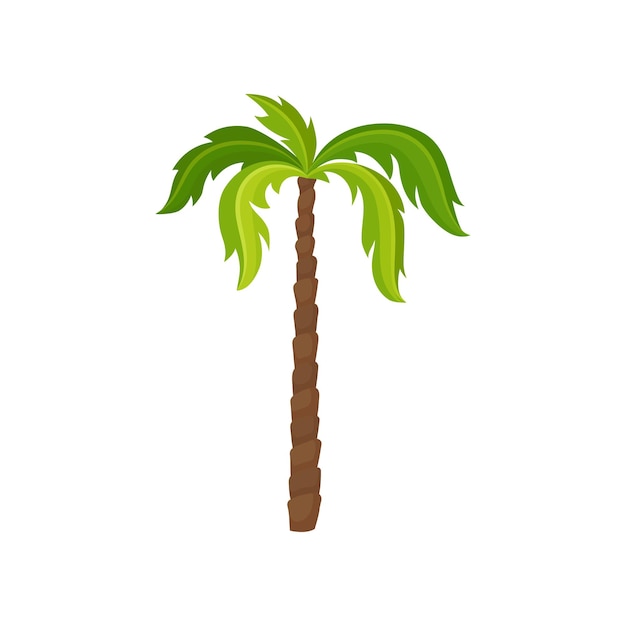 Palmera alta con grandes hojas verdes brillantes y tronco marrón Planta exótica Elemento de la selva tropical Tema de la naturaleza Ilustración de estilo de dibujos animados Icono de vector plano colorido aislado sobre fondo blanco
