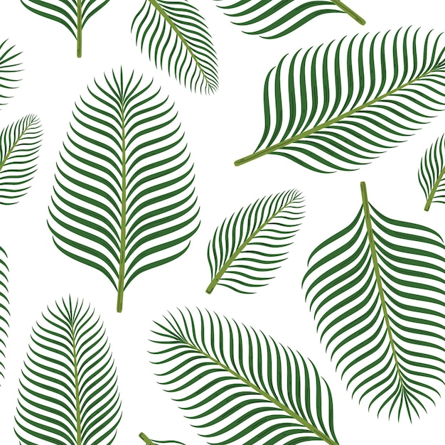 palmera areca