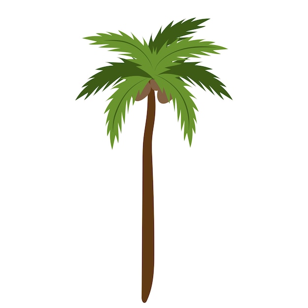 Palmera de coco aislada sobre fondo blanco Hermosa palmera vectorial simple