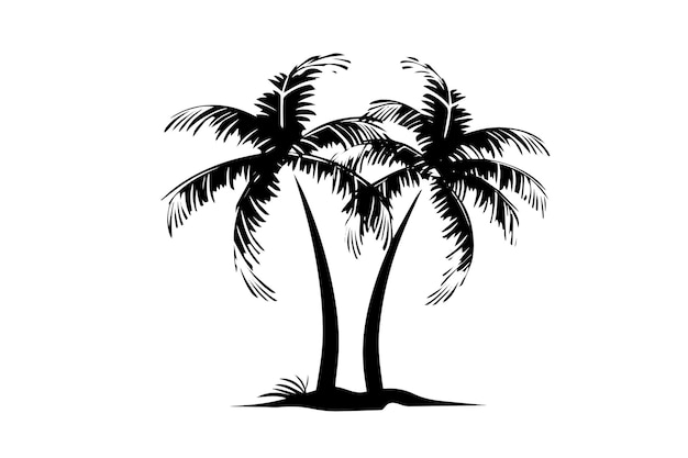 Palmera con coco dibujado a mano boceto tinta silueta vector ilustración