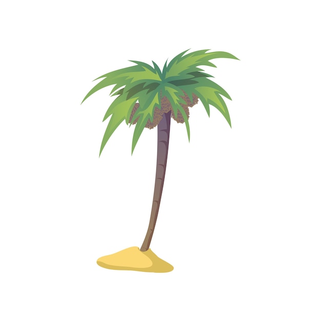 Palmera de coco con ilustración de vector de nueces sobre fondo blanco