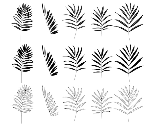 Vector palmera datilera silueta de hojas tropicales