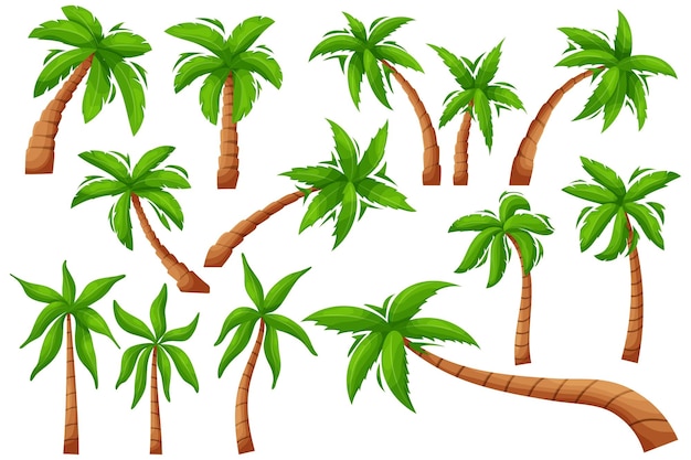 Palmera de dibujos animados planta tropical exótica vegetación selvática aislada coco y árbol de plátano conjunto de vectores