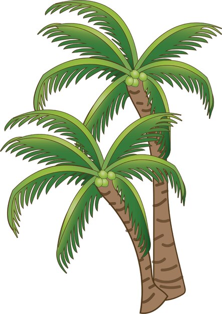 Una palmera es una planta tropical caracterizada por su tronco alto y delgado y una corona de grandes
