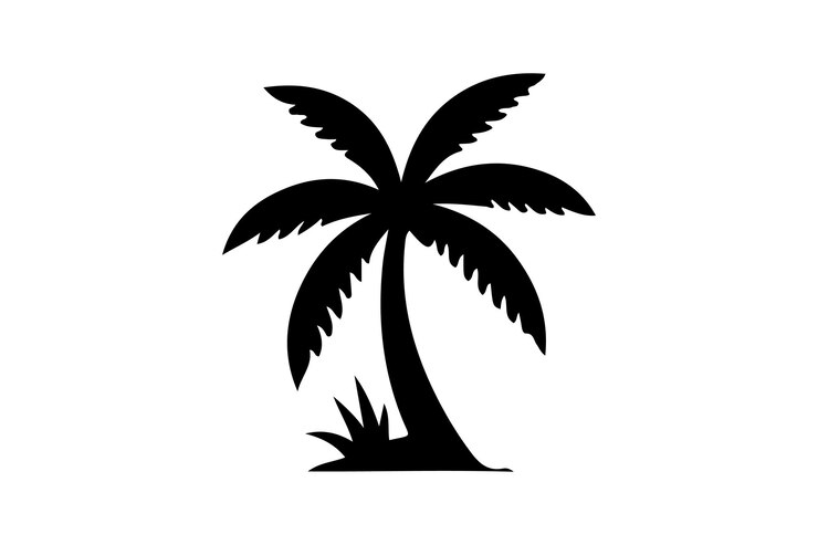 una palmera está en una imagen en blanco y negro