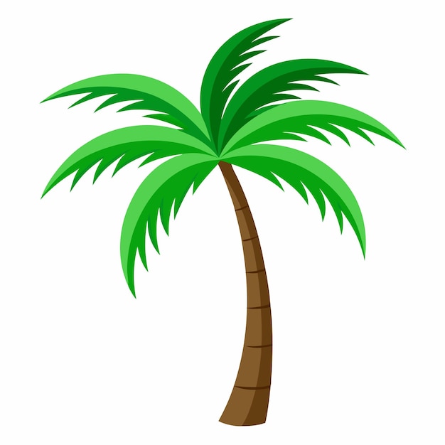 una palmera está de pie frente a un fondo blanco