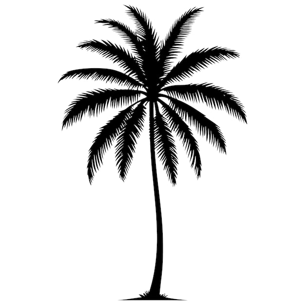 una palmera está de pie en el medio de un fondo blanco