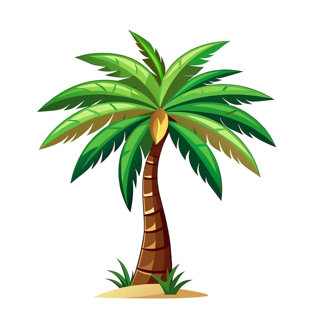 Palmera en estilo de dibujos animados sobre un fondo blanco