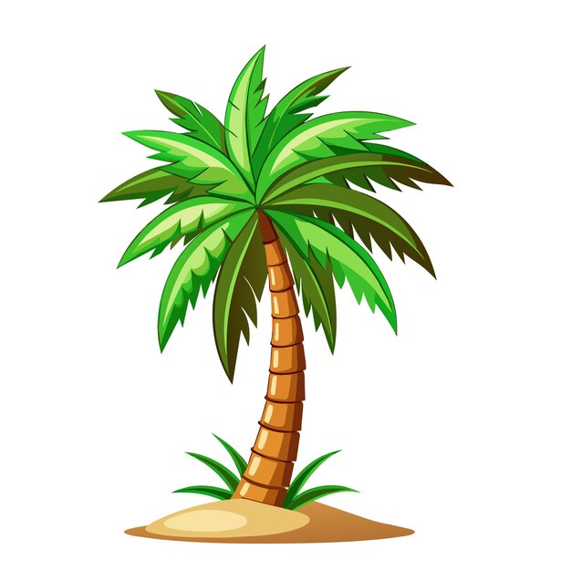 Vector palmera en estilo de dibujos animados sobre un fondo blanco