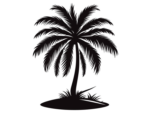 Palmera con fondo blanco