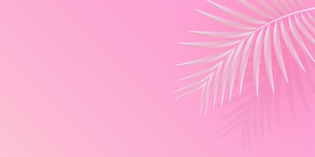 Palmera fondo rosa