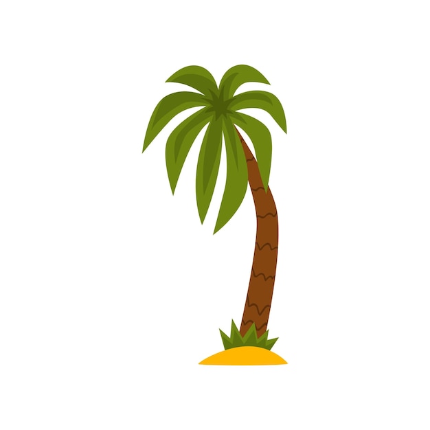 Palmera hermosa planta tropical de hoja perenne ilustración vectorial sobre un fondo blanco