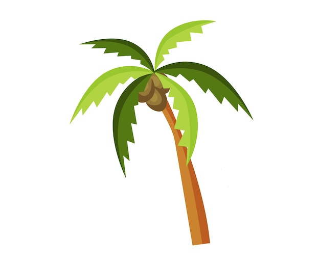 una palmera con una hoja verde que dice palma