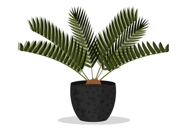 Vector palmera en una maceta con decoración planta de interior para decoración