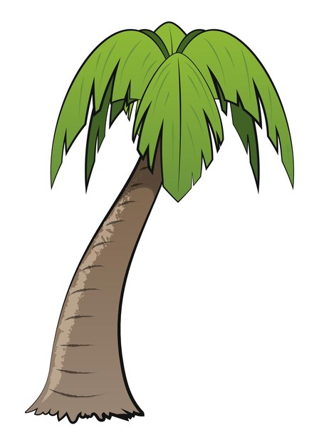 una palmera con una palmera verde en la parte superior