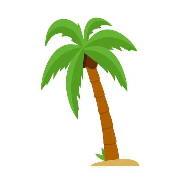 Palmera en una playa soleada