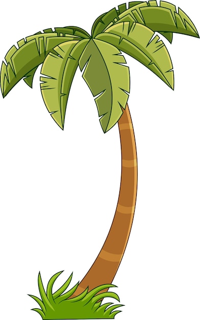 Vector palmera tropical de dibujos animados con corona de hojas verdes ilustración dibujada a mano por vectores