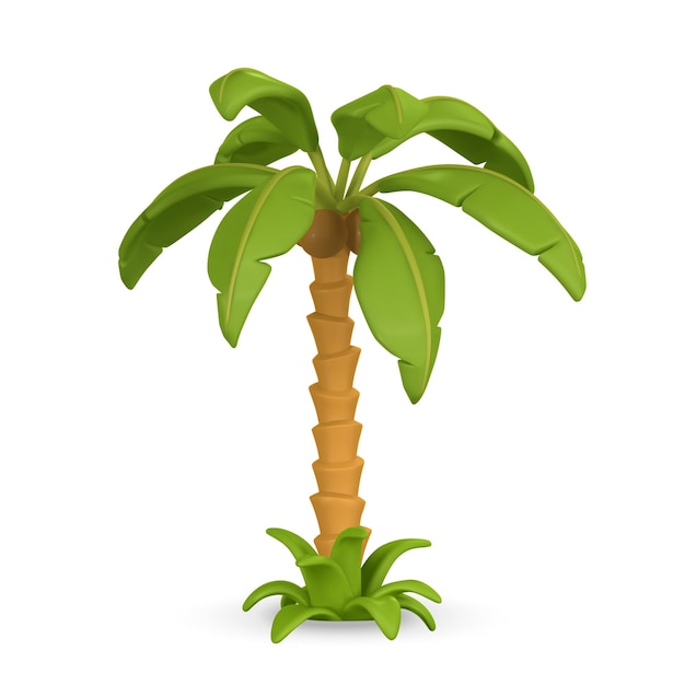 Vector palmera tropical de dibujos animados lindo 3d árbol de la selva realista sobre fondo blanco objeto de verano ilustración vectorial