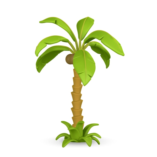 Palmera tropical de dibujos animados lindo 3D Árbol de la selva realista sobre fondo claro Objeto de verano Ilustración vectorial