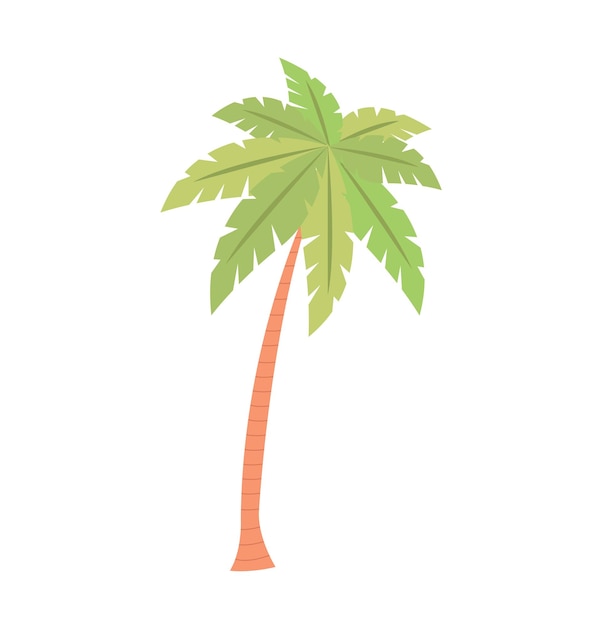 Palmera tropical de dibujos animados sobre un fondo blanco representación simplificada de una sola palmera para