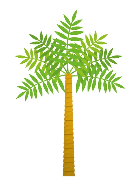 palmera tropical naturaleza verano playa planta icono