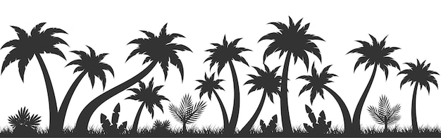 Vector palmera trópico planta fondo transparente negro