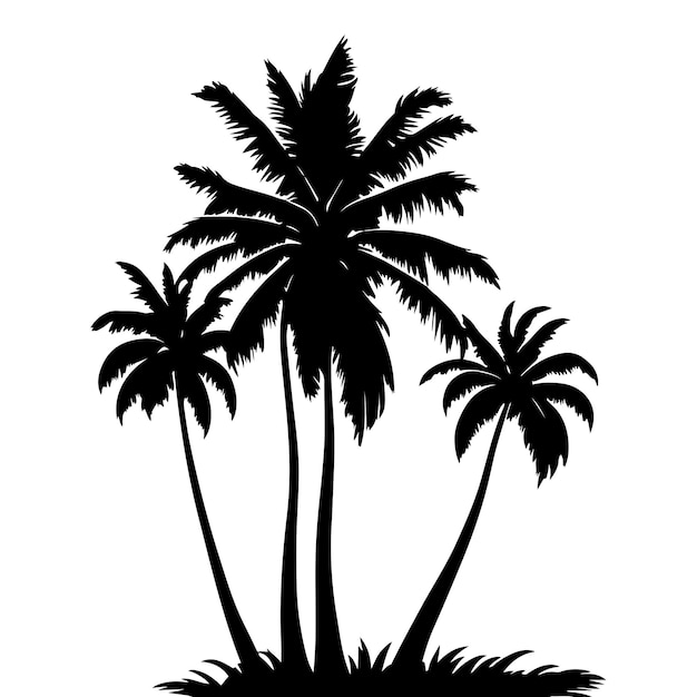 Palmera vector silueta de palmera silueta de vector de árbol de coco