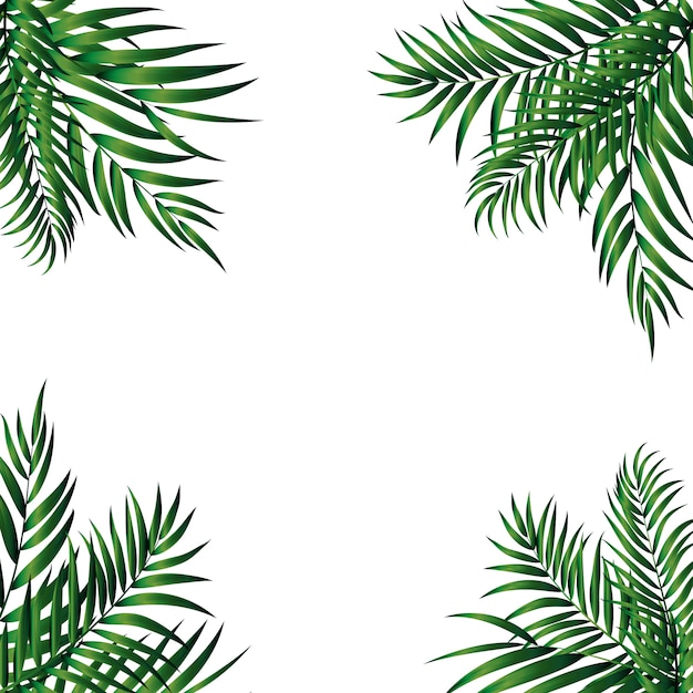 Vector palmera verde natural tropical. ilustración