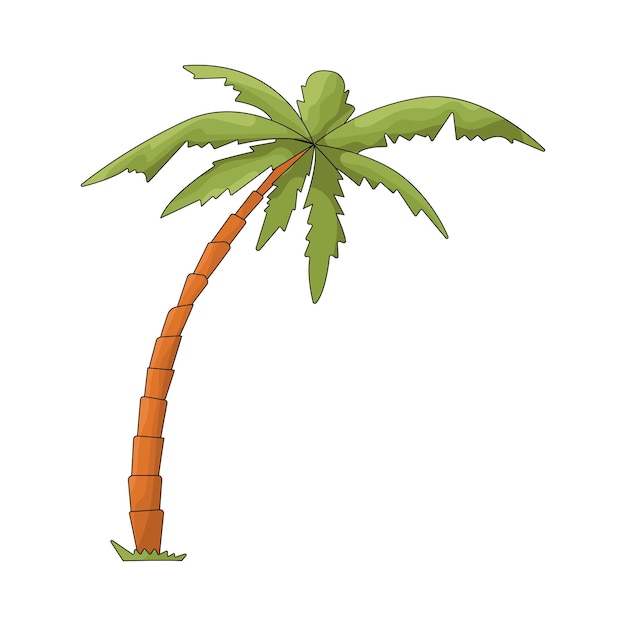 Palmera