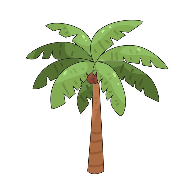palmera