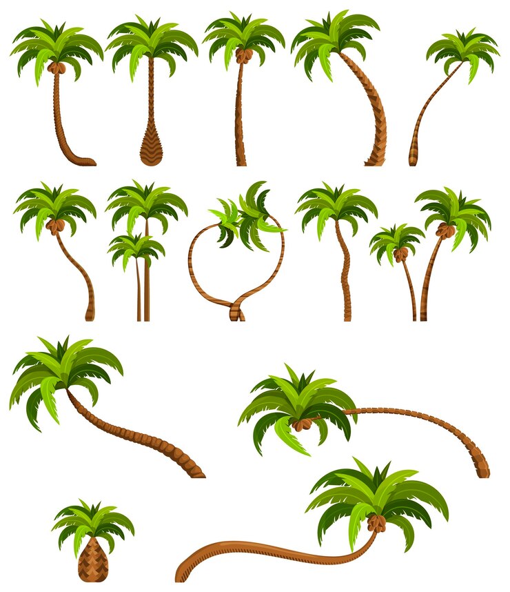 Vector palmeras aisladas sobre fondo blanco hermoso vectro palma árbol conjunto ilustración vectorial