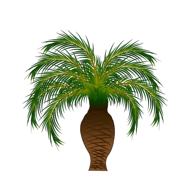 Palmeras cortas