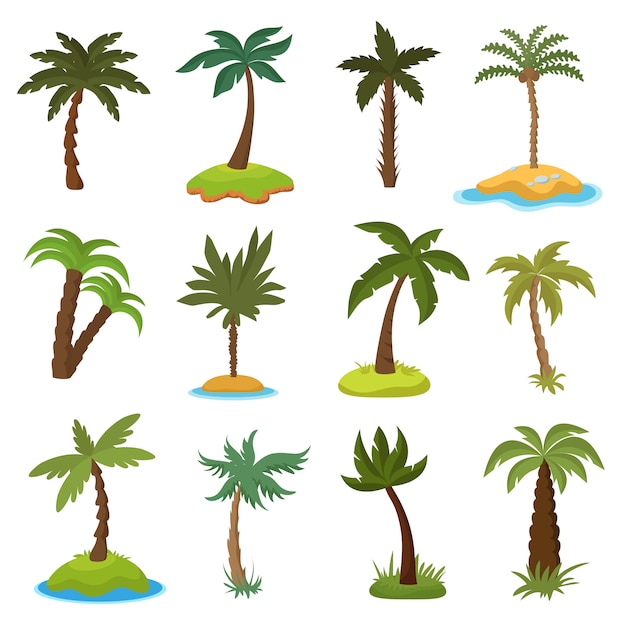 Palmeras de dibujos animados en el conjunto de vectores de islas exóticas tropicales