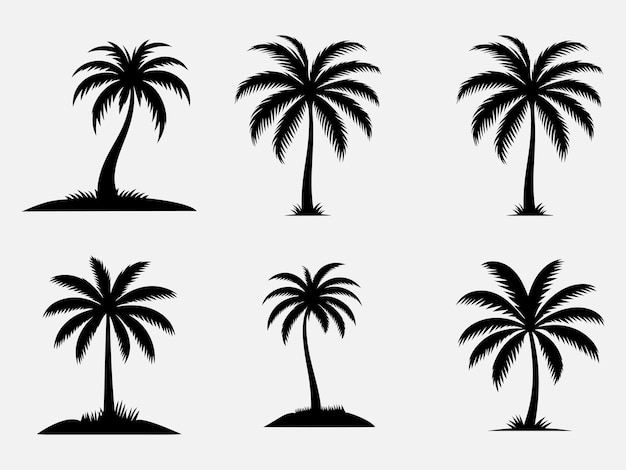 Palmeras negras aisladas sobre un fondo blanco Siluetas de palmeras Diseño de palmeras para cartel