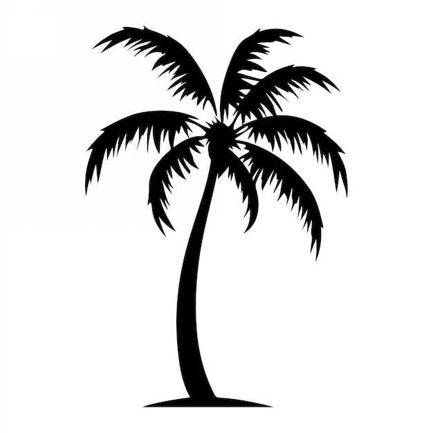 Palmeras tropicales con hojas y siluetas negras aisladas sobre un fondo blanco Vector