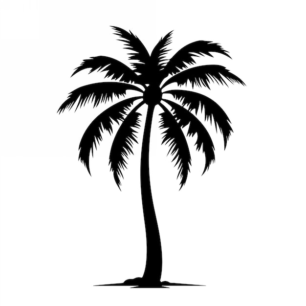 Palmeras tropicales con hojas y siluetas negras aisladas sobre un fondo blanco Vector