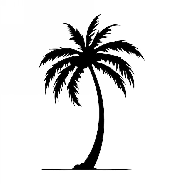 Palmeras tropicales con hojas y siluetas negras aisladas sobre un fondo blanco Vector