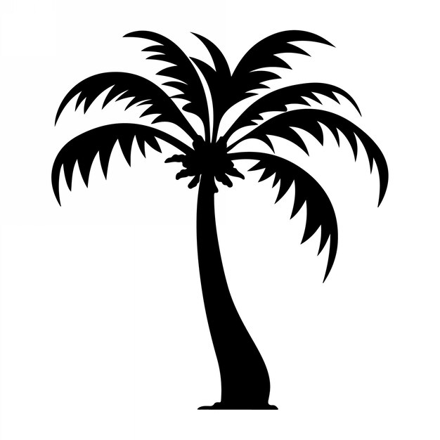 Palmeras tropicales con hojas y siluetas negras aisladas sobre un fondo blanco Vector