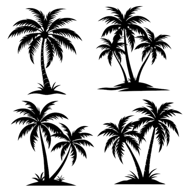 Palmeras tropicales vector siluetas