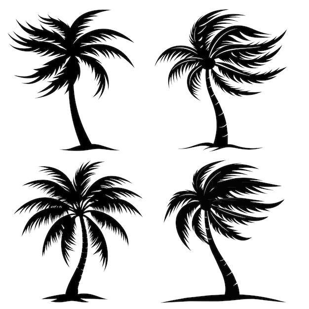 Palmeras tropicales vector siluetas