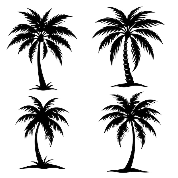 Palmeras tropicales vector siluetas