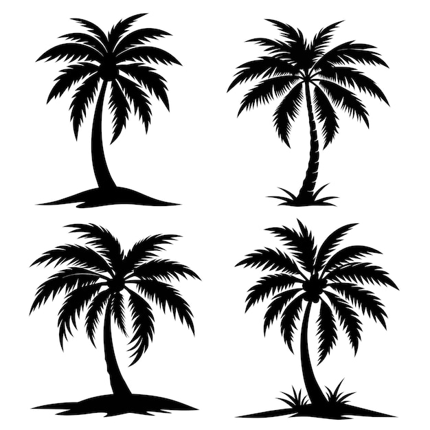 Palmeras tropicales vector siluetas
