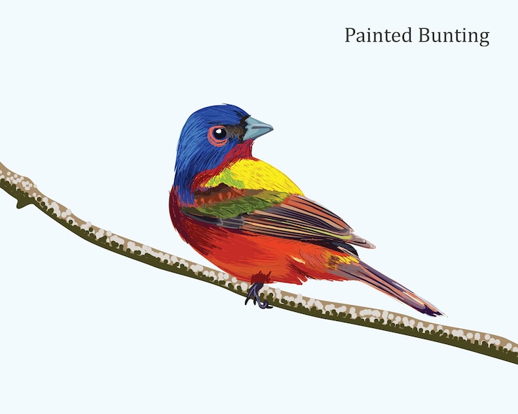 Vector un palo pintado de colores en una rama