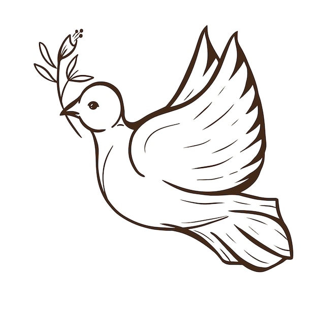 Paloma blanca sosteniendo una ramita pequeña Pájaro símbolo de la paz